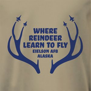 T / REINDER LEARN EIELSON AFB @