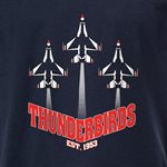 THUNDER BIRDS PRIDE IN THE SKY W / PLANE RED WHITE BLUE