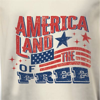 T / AMERICA LAND OF THE FREE