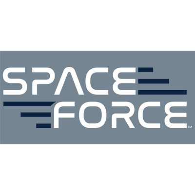 DEC-SPACE FORCE TEXT