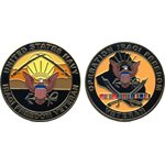 COIN-OIF VETERAN NAVY [DX9]