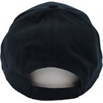 CAP-VETERAN W / AIR FORCE LOGO 3-D DKN 