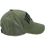 CAP-VETERAN W / AIR FORCE LOGO 3-D (OD) 