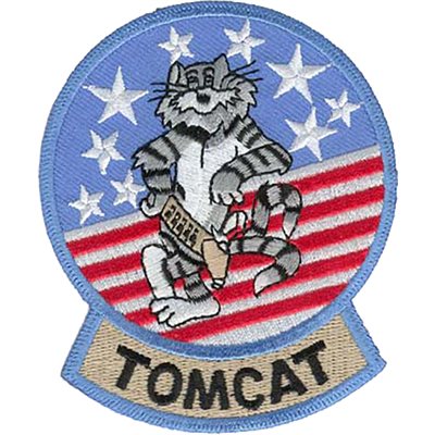 PAT-F-14 TOMCAT 3.5"(FLDK)