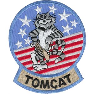 PAT-F-14 TOMCAT 3.5"(FLDK)