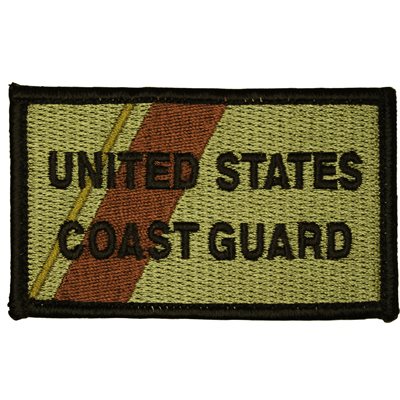 U.S. COAST GUARD (SUBDUED) (H&L) (3.5" X 2")