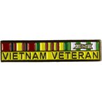 PIN-VIETNAM VETERAN W / RIBBONS