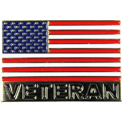 PIN-AMERICAN FLAG / VETERAN