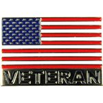 PIN-AMERICAN FLAG  /  VETERAN